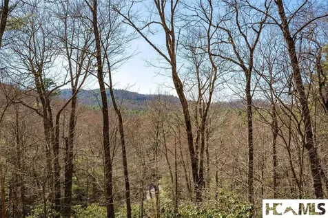 60 Pine Cone Court Sapphire NC 28774