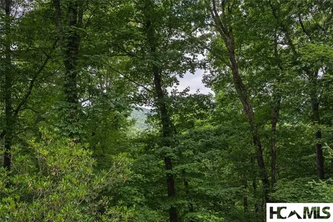 60 Pine Cone Court Sapphire NC 28774