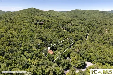 60 Pine Cone Court Sapphire NC 28774