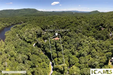 60 Pine Cone Court Sapphire NC 28774