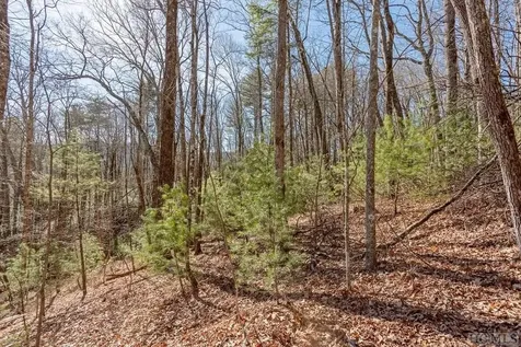 35 Trillium Court Sapphire NC 28774