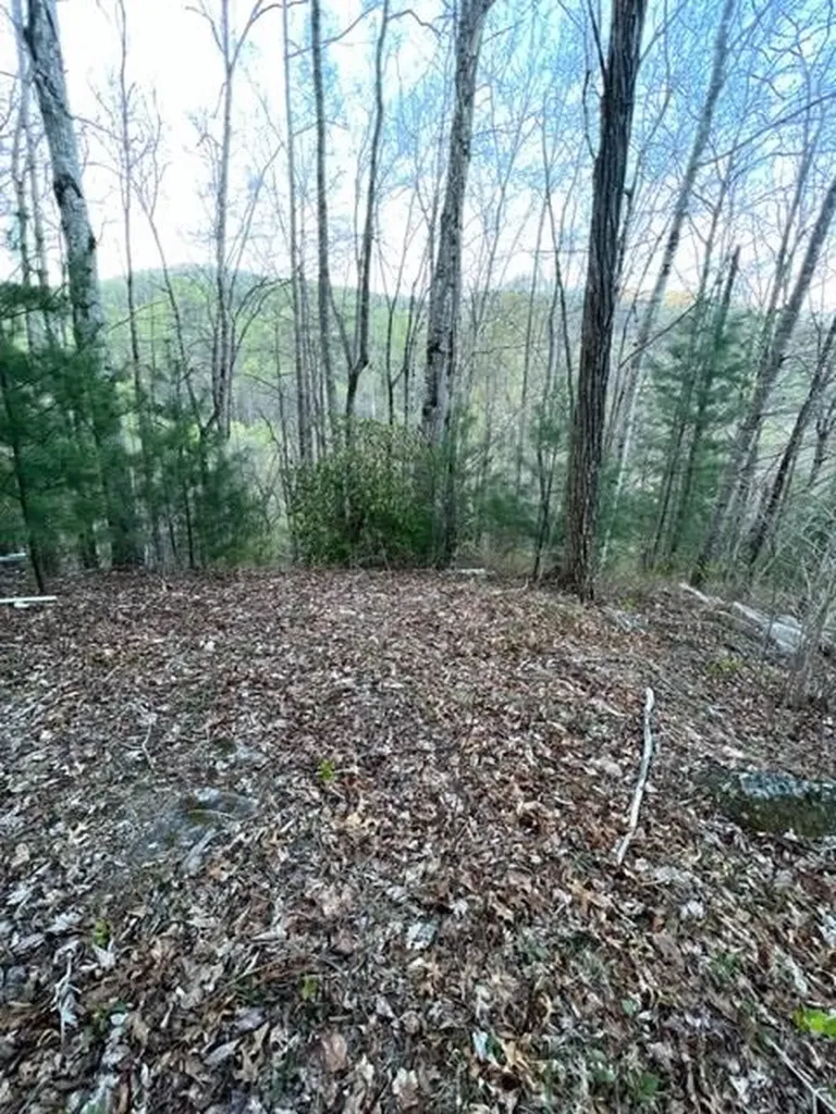00 Glennview Lane Franklin NC 28734