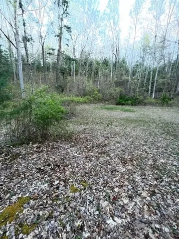 00 Glennview Lane Franklin NC 28734