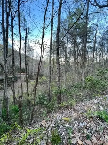 00 Glennview Lane Franklin NC 28734