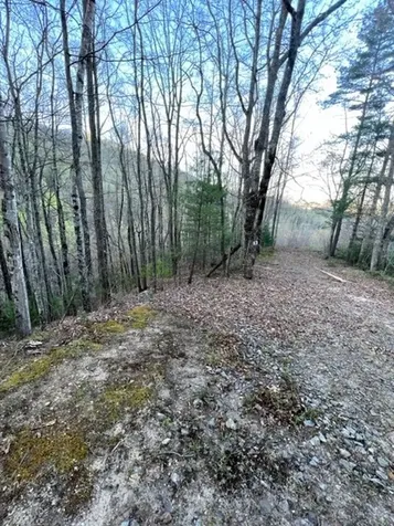 00 Glennview Lane Franklin NC 28734