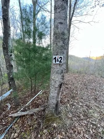 00 Glennview Lane Franklin NC 28734
