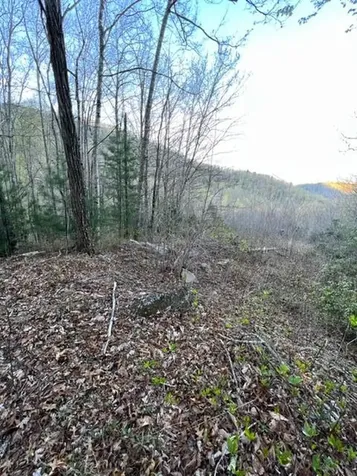 00 Glennview Lane Franklin NC 28734