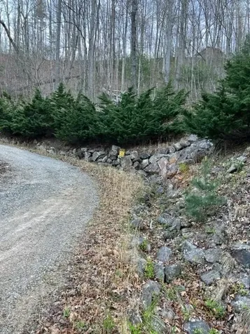 00 Glennview Lane Franklin NC 28734
