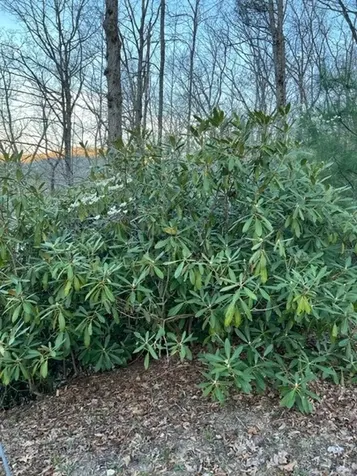 00 Glennview Lane Franklin NC 28734