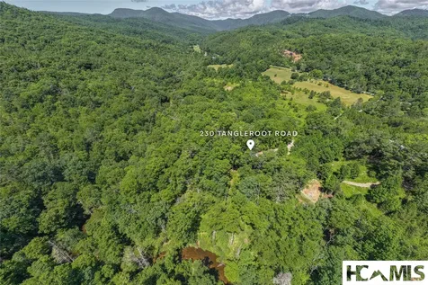230 Tangleroot Road Lake Toxaway NC 28747