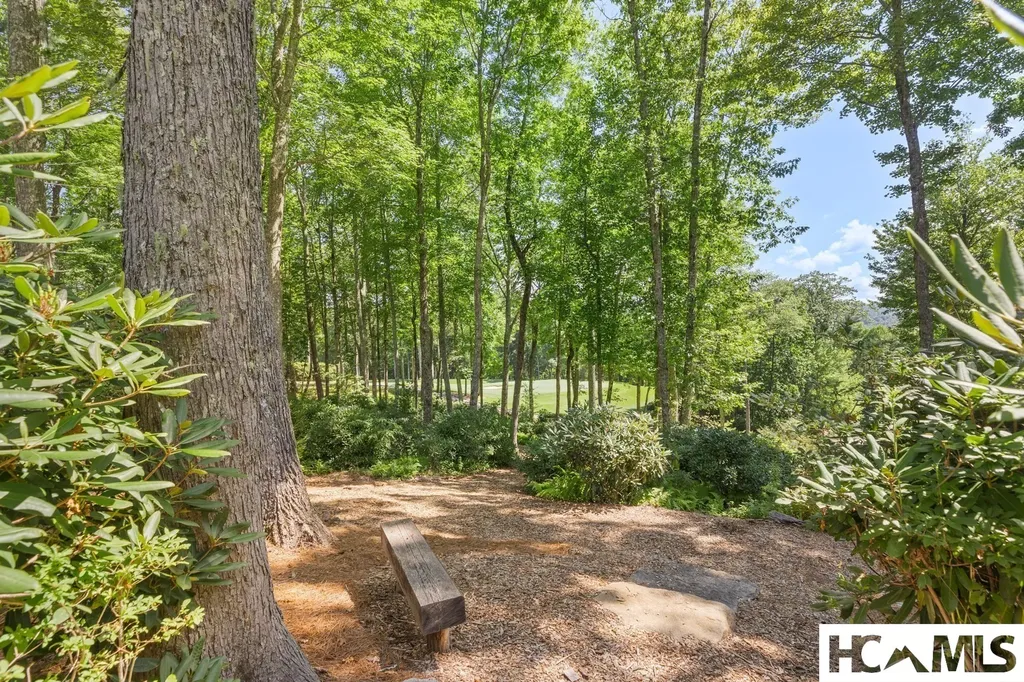 2071 High Mountain Drive Cashiers NC 28717