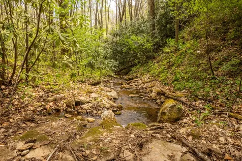 82 Meadow Ridge Court Tuckasegee NC 28783