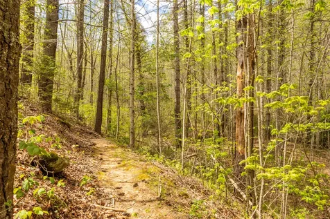 82 Meadow Ridge Court Tuckasegee NC 28783