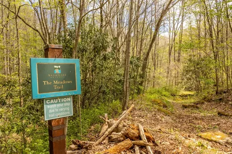 82 Meadow Ridge Court Tuckasegee NC 28783