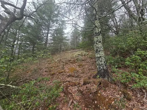 Lot 15 Shirley Pressley Road Glenville NC 28736
