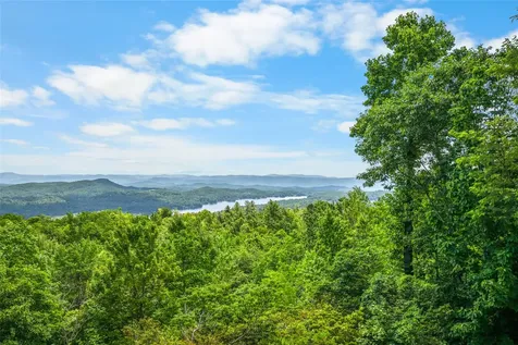 100 Meadow Ridge Drive Lake Toxaway NC 28747