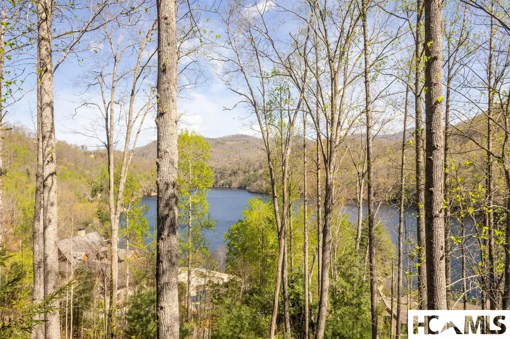 103 Southshore Drive Tuckasegee NC 28783