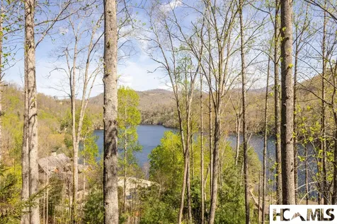 103 Southshore Drive Tuckasegee NC 28783