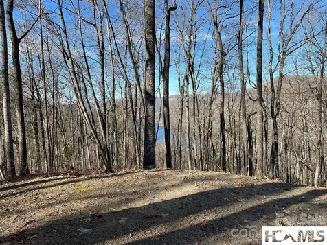762 Scarlet Oak Road Tuckasegee NC 28783