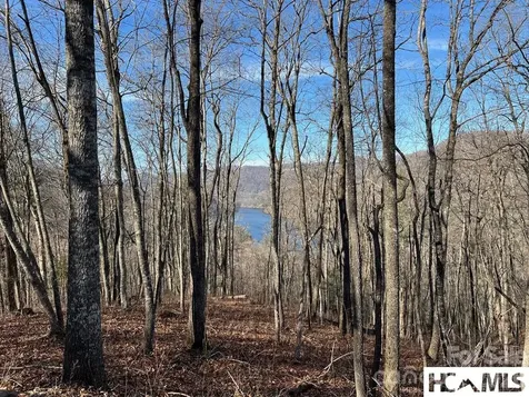 762 Scarlet Oak Road Tuckasegee NC 28783