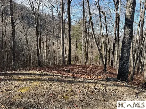 762 Scarlet Oak Road Tuckasegee NC 28783