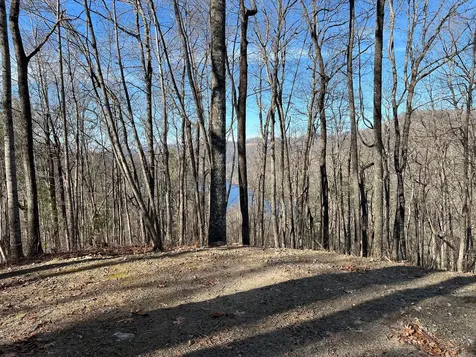 762 Scarlet Oak Road Tuckasegee NC 28783
