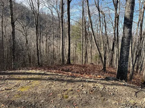762 Scarlet Oak Road Tuckasegee NC 28783