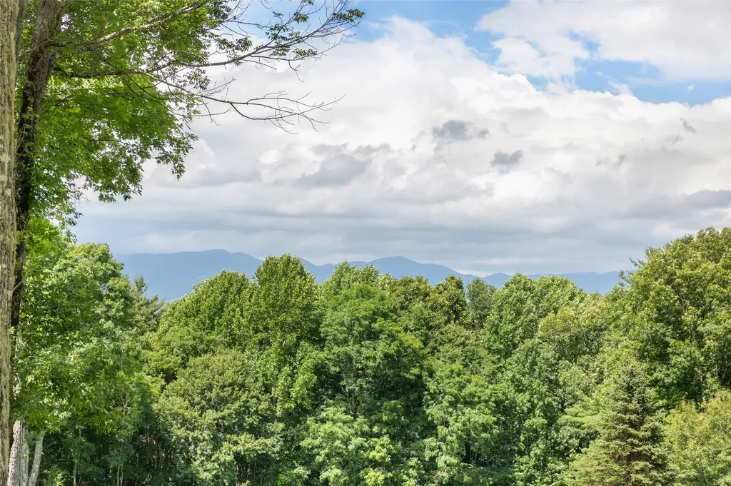41 Flat Creek Drive Glenville NC 28736