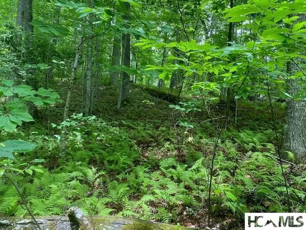 Lot 25 Rainbow Trout Tuckasegee NC 28783