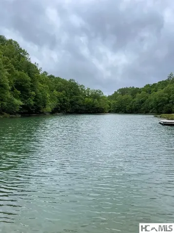 Lot 25 Rainbow Trout Tuckasegee NC 28783