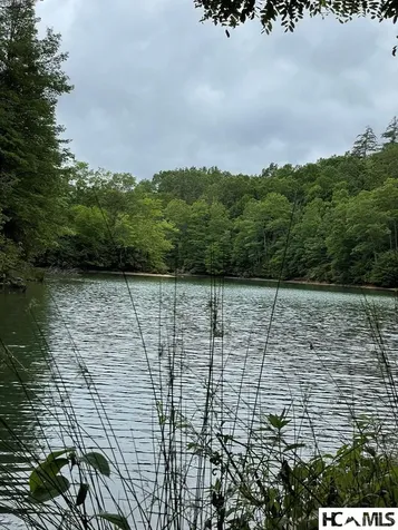 Lot 25 Rainbow Trout Tuckasegee NC 28783