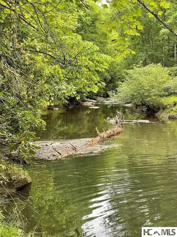 Lot 25 Rainbow Trout Tuckasegee NC 28783