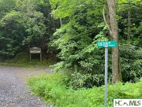 Lot 25 Rainbow Trout Tuckasegee NC 28783