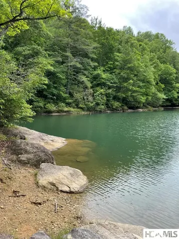 Lot 25 Rainbow Trout Tuckasegee NC 28783