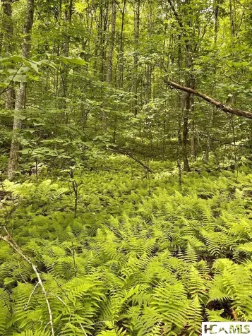Lot 25 Rainbow Trout Tuckasegee NC 28783