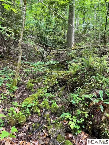 Lot 25 Rainbow Trout Tuckasegee NC 28783
