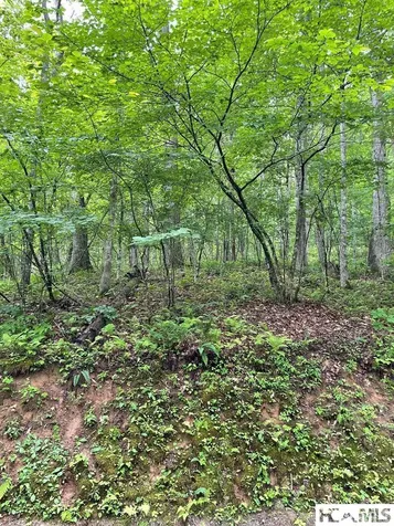 Lot 25 Rainbow Trout Tuckasegee NC 28783