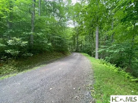 Lot 25 Rainbow Trout Tuckasegee NC 28783