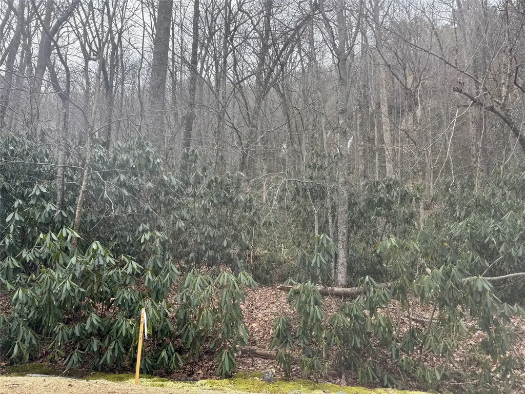 23/24 Old Wagon Trail Highlands NC 28741