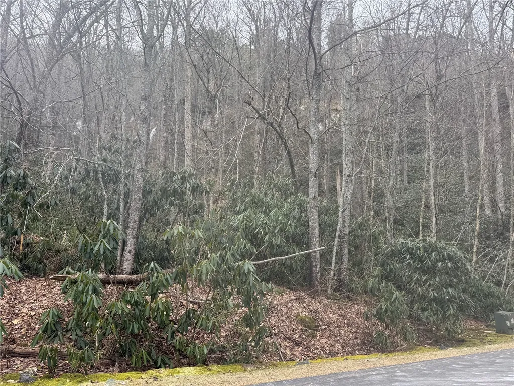 23/24 Old Wagon Trail Highlands NC 28741