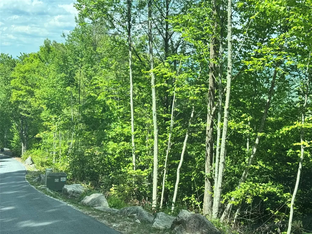 Lot 78 Double Branch Trail Highlands NC 28741