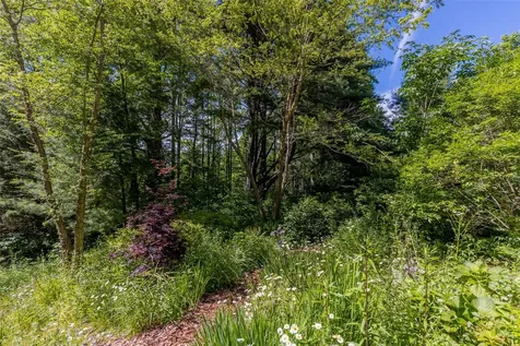 1005 Concho Mountain Cullowhee NC 28723