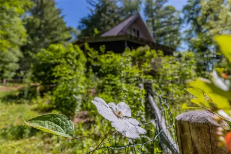 1005 Concho Mountain Cullowhee NC 28723