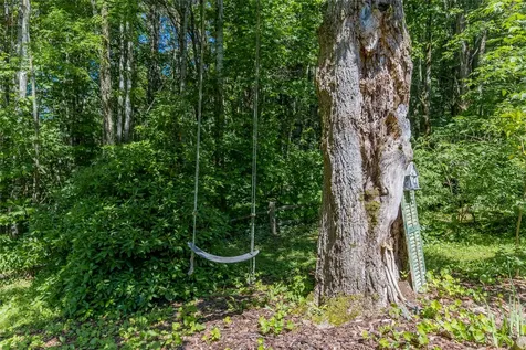 1005 Concho Mountain Cullowhee NC 28723