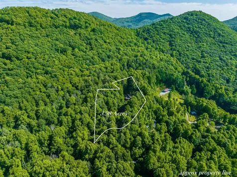1005 Concho Mountain Cullowhee NC 28723