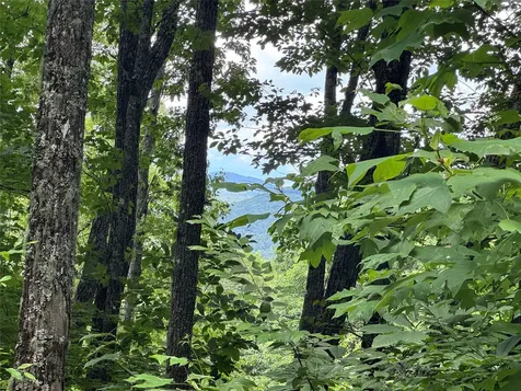 93 Double Branch Trail Highlands NC 28741