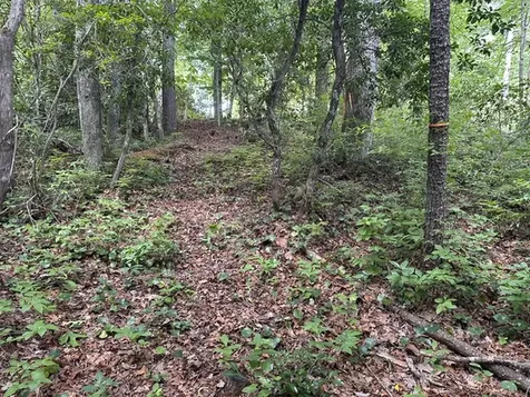 Tbd Whisper River Court Cashiers NC 28774