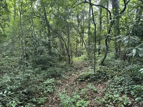 Tbd Whisper River Court Cashiers NC 28774