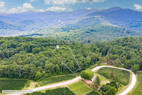 Tbd Rein Deer Trail Glenville NC 28736