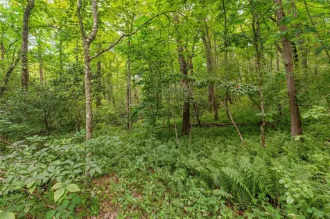 Tbd Rein Deer Trail Glenville NC 28736